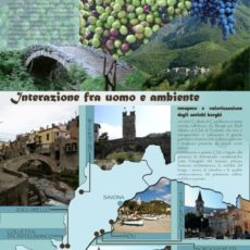 BRAU1 Poster, topic Permanent Maintenance of Small Historical Centres.